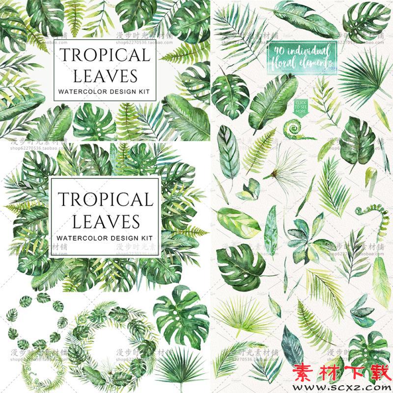 手绘水彩绿色热带植物叶子