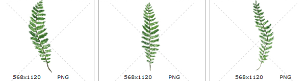 手绘水彩清新绿色蕨类植物