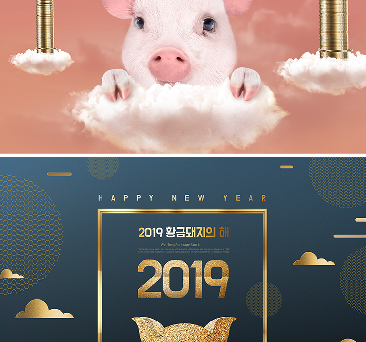 猪年新年春节设计素材图6PSD 