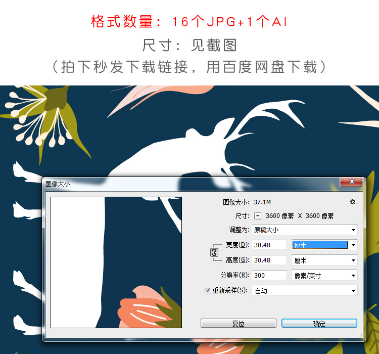 森系小清新花卉花草