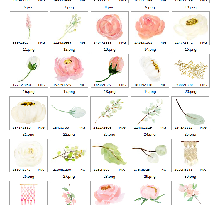 胭脂红水彩花卉字母模板