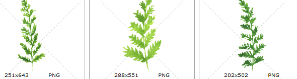 手绘水彩清新绿色蕨类植物