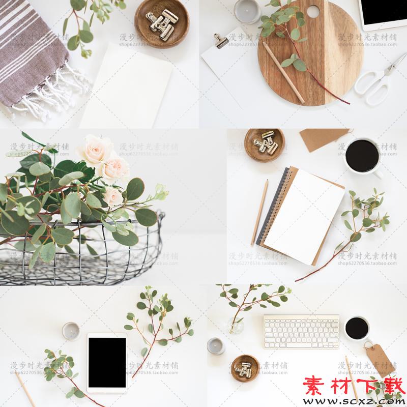 小清新小资情调植物素材