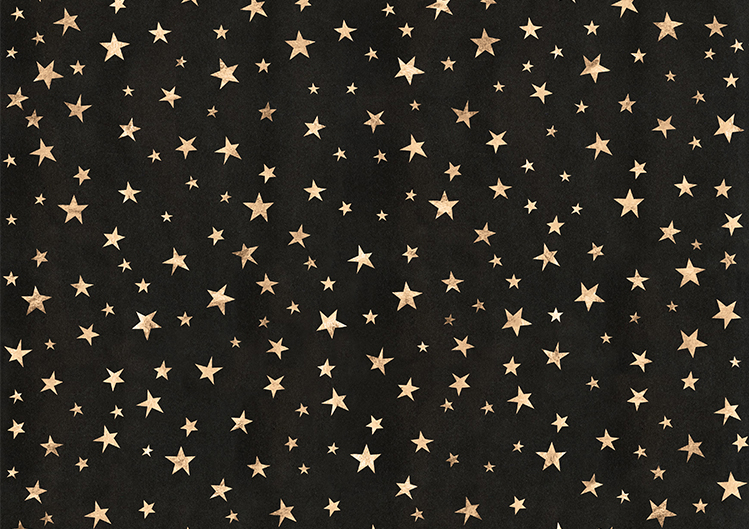 玫瑰金星空荷叶蜻蜓图案