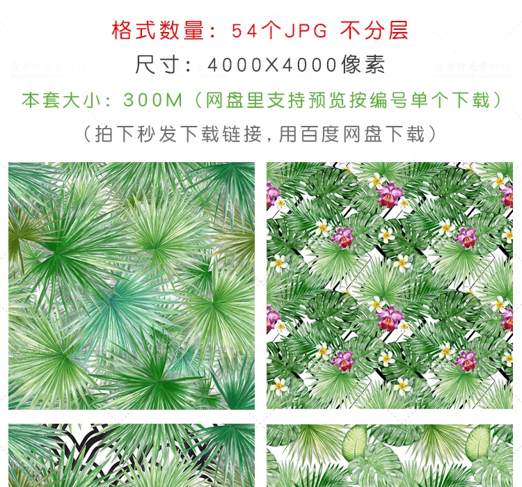 植物树叶背景图片