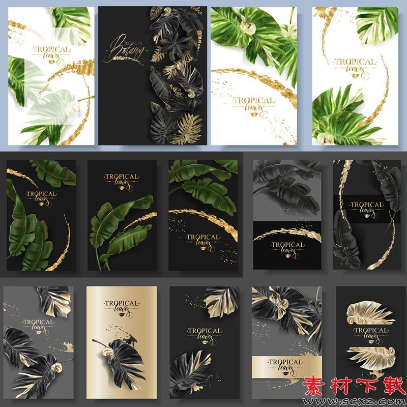 龟背竹卡片装饰画玄关海报
