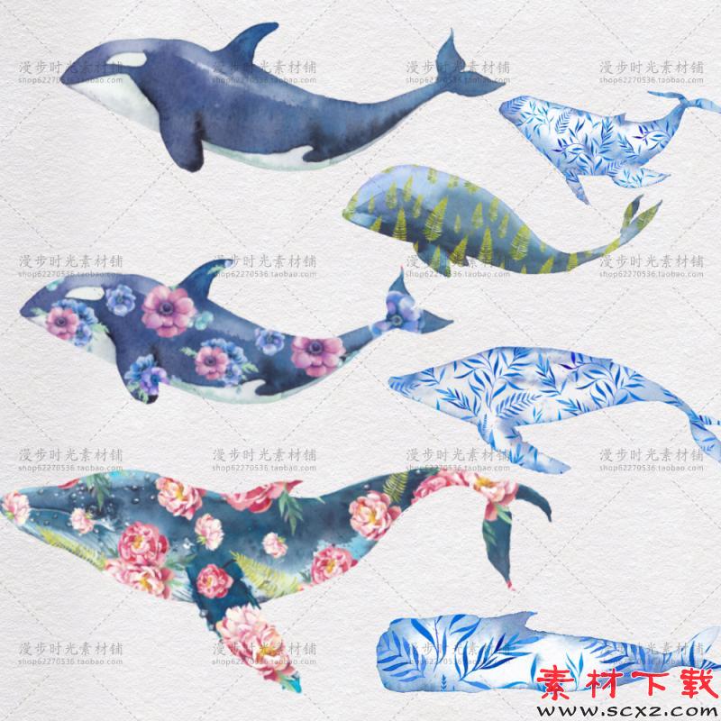 手绘水彩PNG免扣浪漫鲸鱼素材