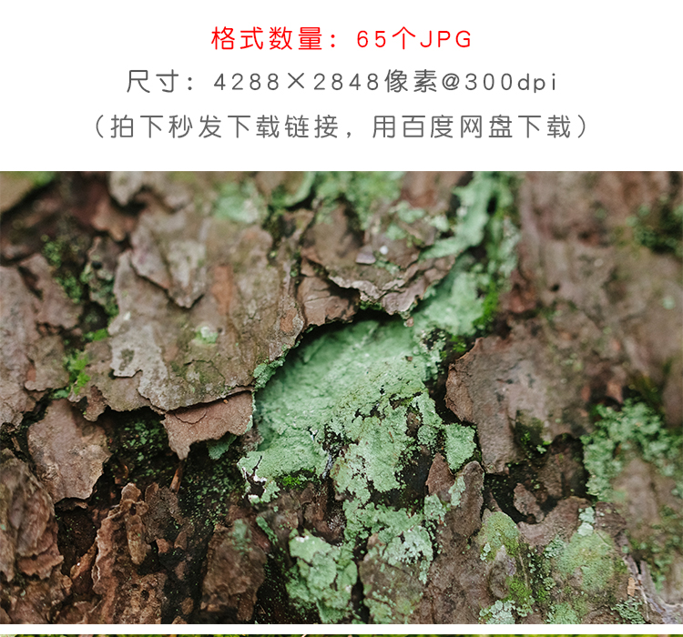 现实取景图片