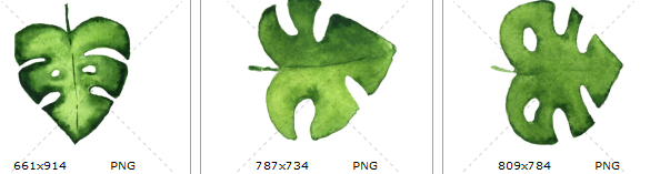 手绘水彩清新绿色蕨类植物