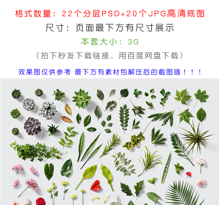 花卉花朵绿植叶子多肉植物素材