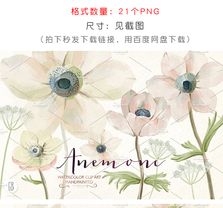 清新手绘银莲花素材