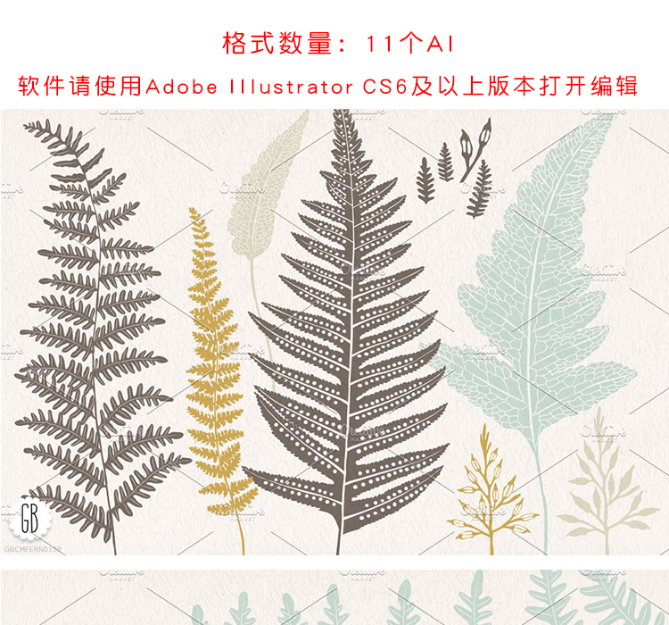 手绘蕨类植物学素材