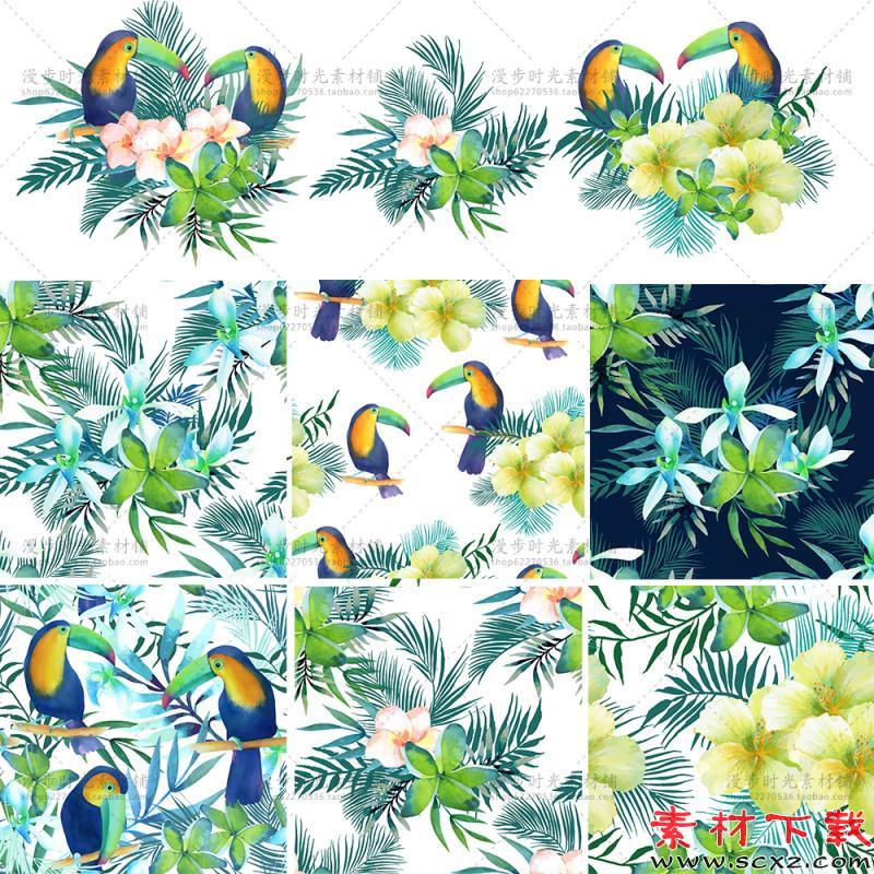 热带雨林植物大嘴鸟鹦鹉海报