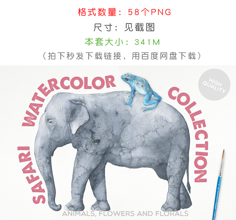 丛林冒险之旅水彩手绘动物素材