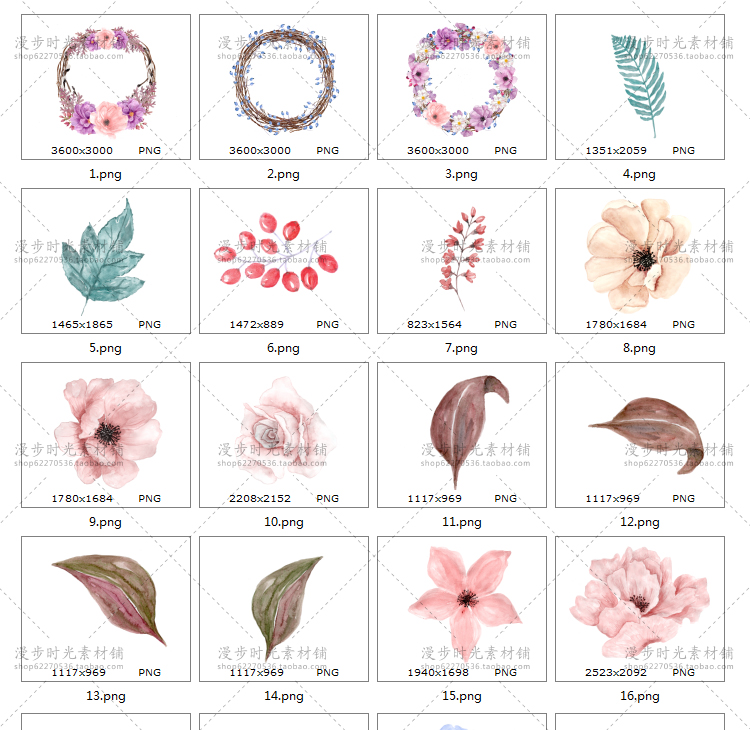 水彩手绘牡丹花虞美人玫瑰花