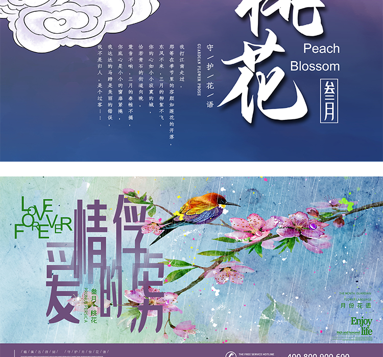 十二月花信PSD设计素材