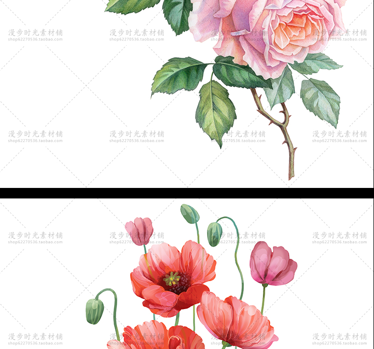 手绘花朵