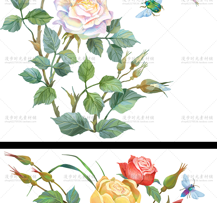 手绘花朵
