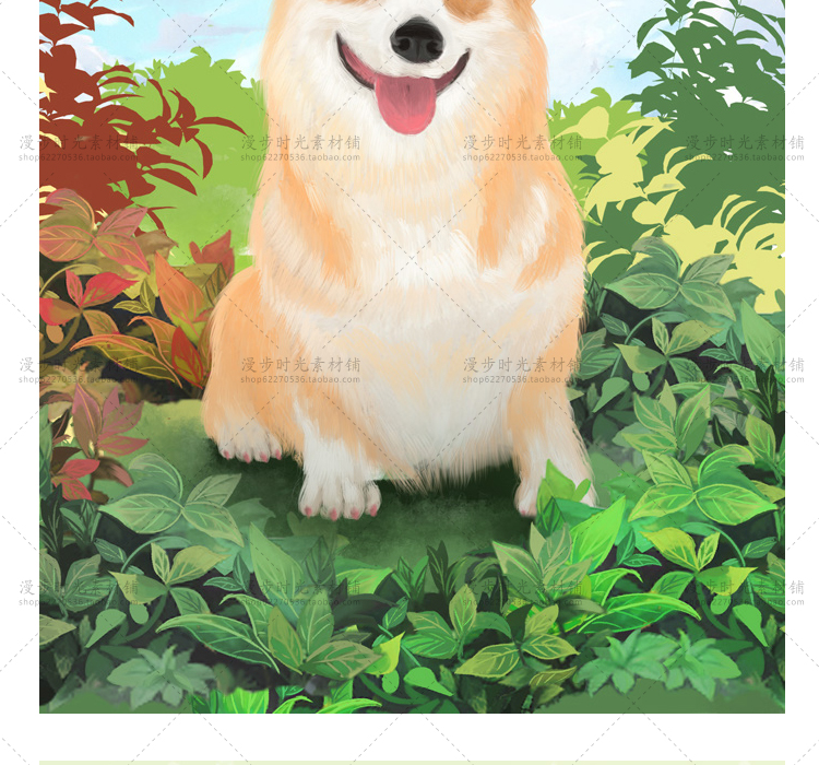 动物插画