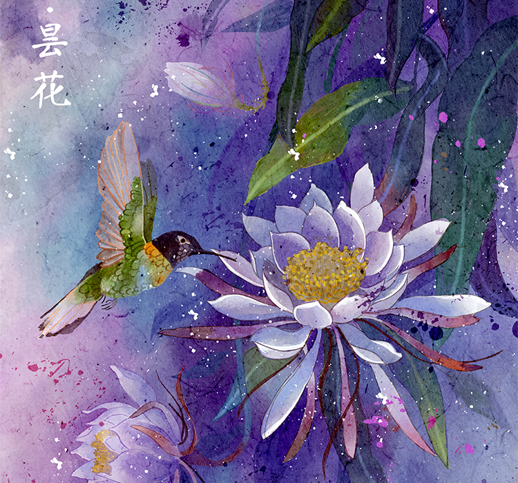 十二月花信