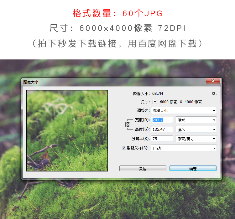 小清新森系森林照片