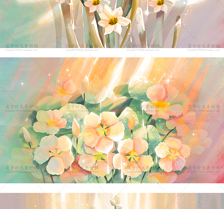 花卉插画