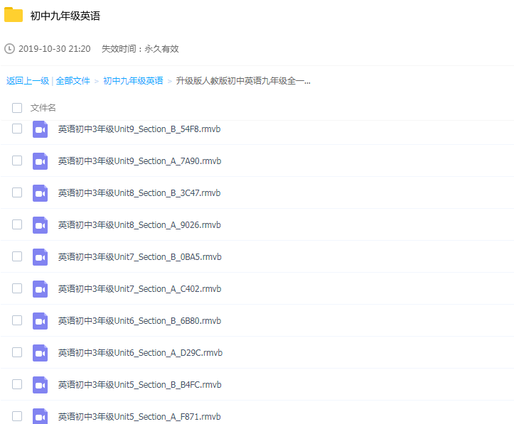 初中九年级英语学习辅导教程