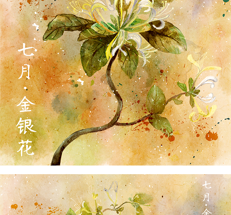 十二月花信