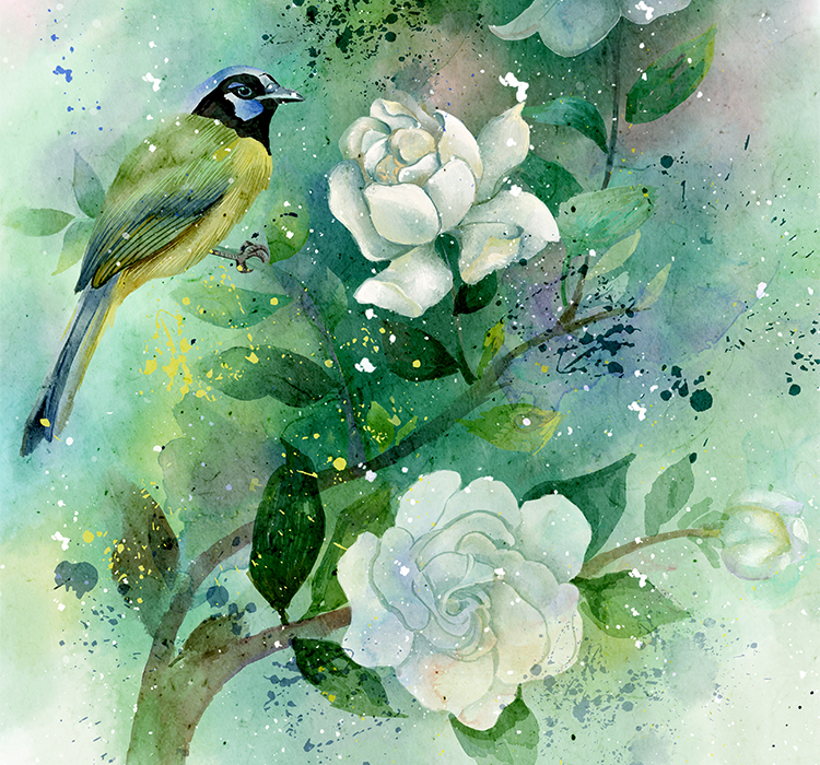 十二月花信