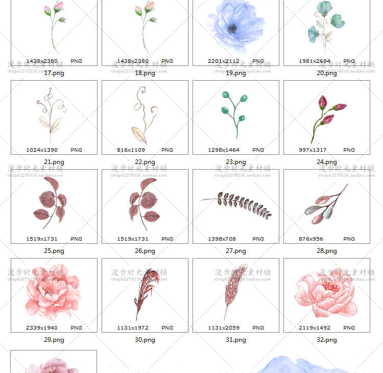 水彩手绘牡丹花虞美人玫瑰花