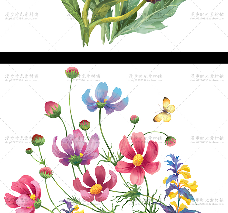 手绘花朵