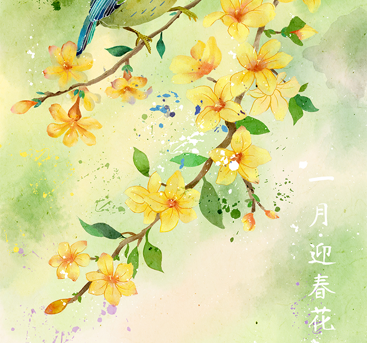十二月花信
