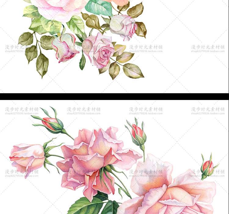 手绘花朵