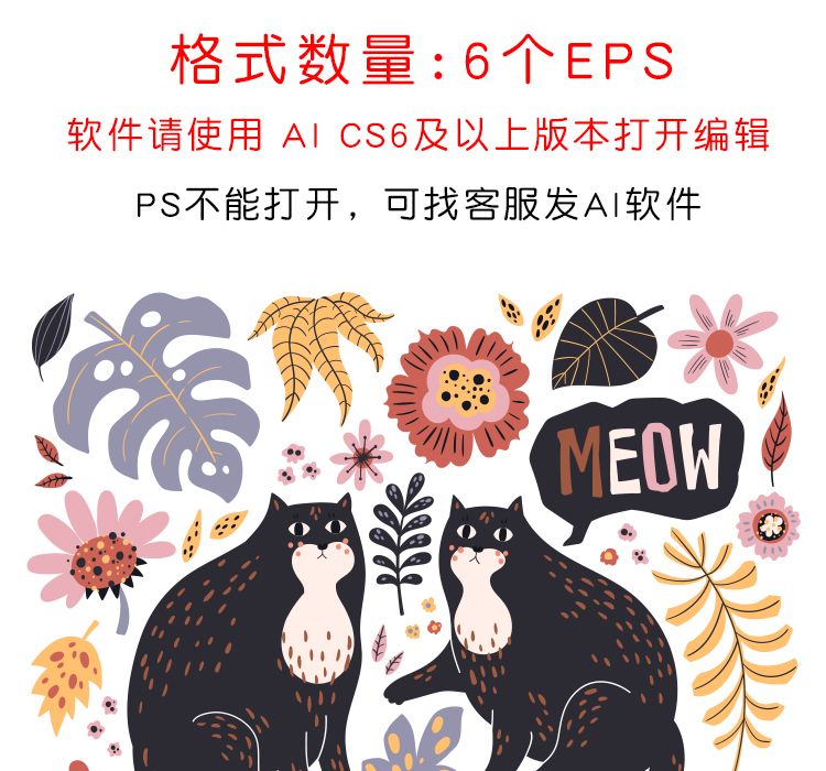 卡通猫狸