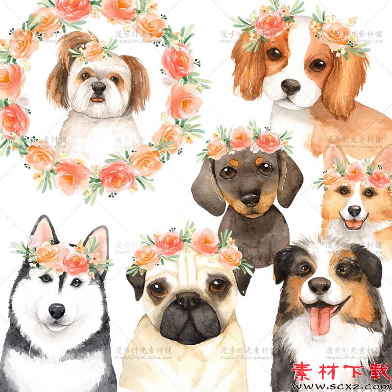 手绘水彩狗狗