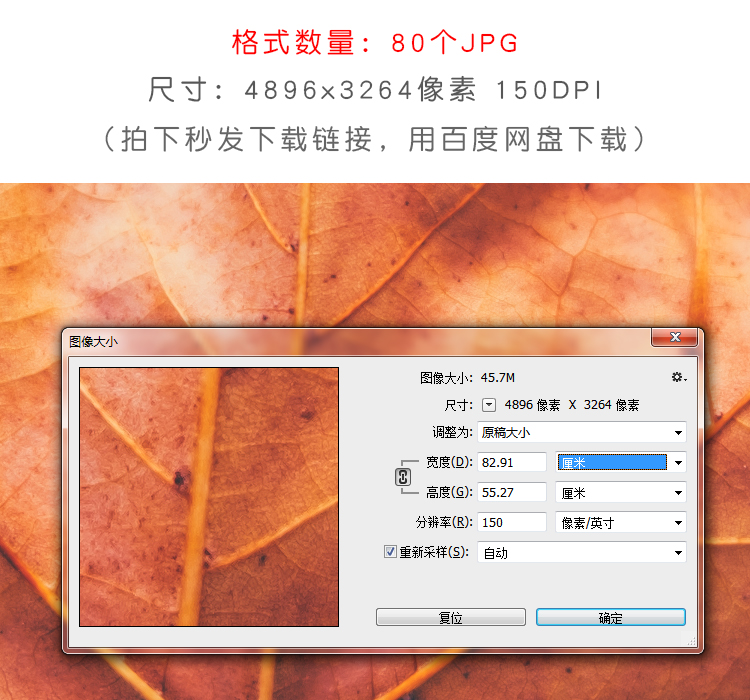秋天落叶黄叶