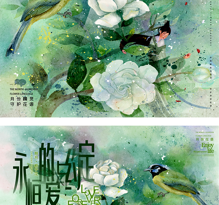 十二月花信PSD设计素材