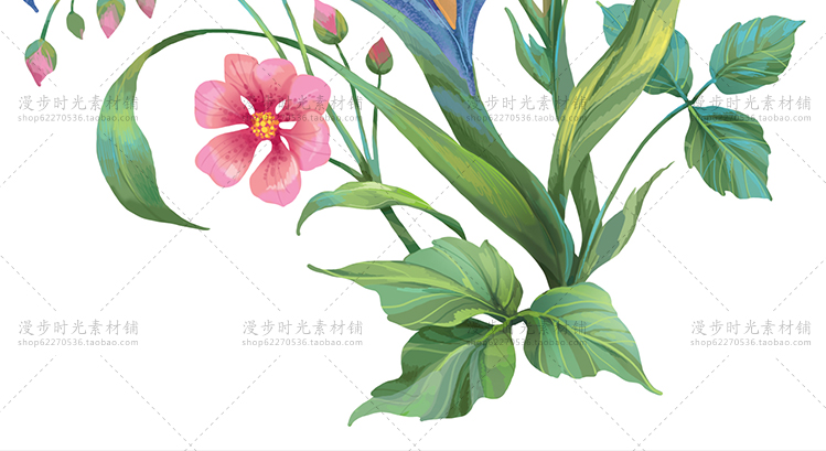 手绘花朵