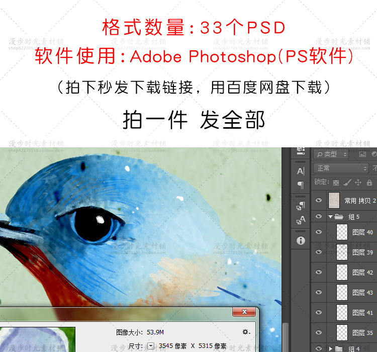 工笔花鸟画