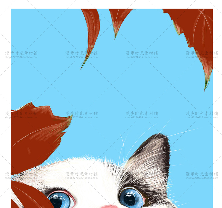 动物插画
