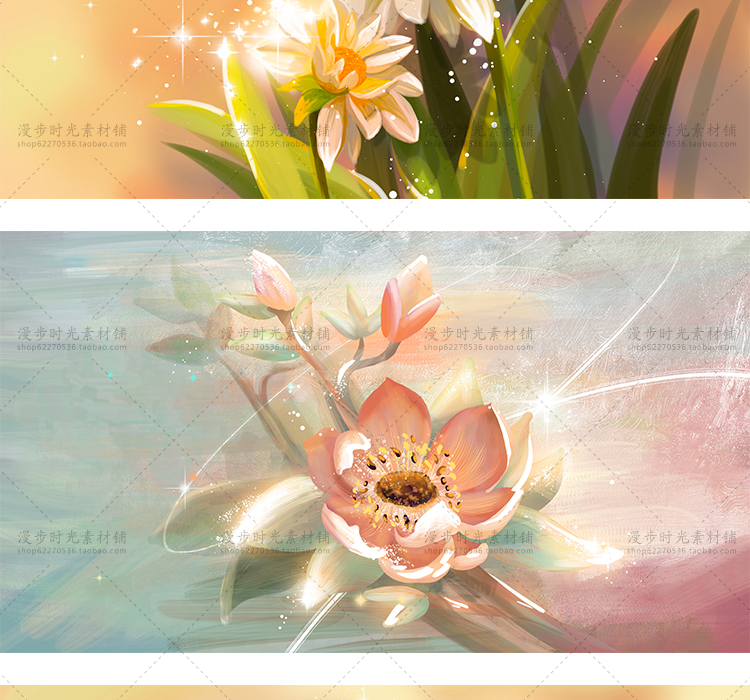 花卉插画