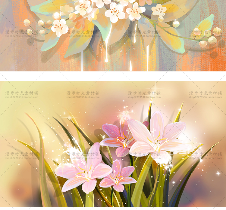 花卉插画