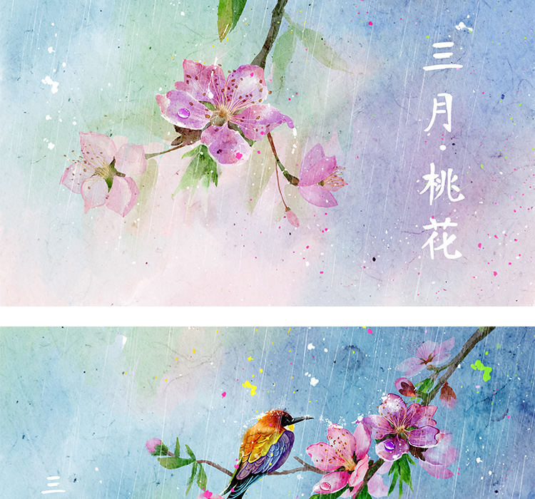 十二月花信