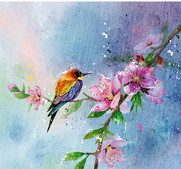 十二月花信