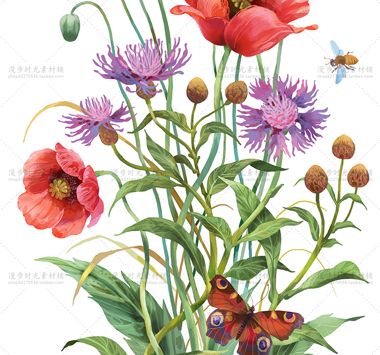 手绘花朵