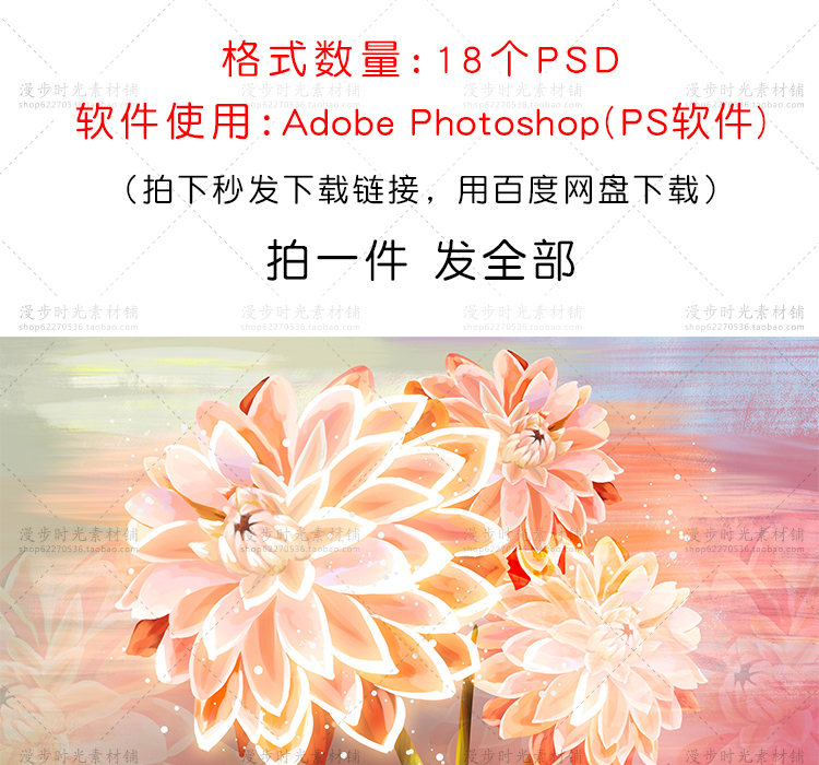 花卉插画
