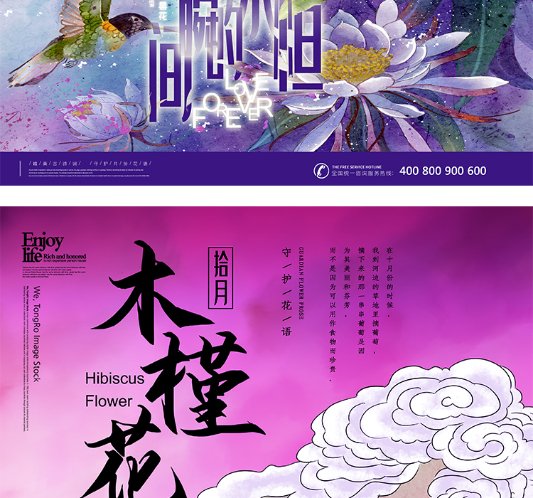 十二月花信PSD设计素材