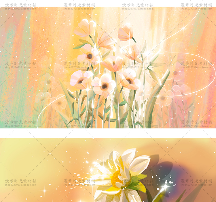 花卉插画
